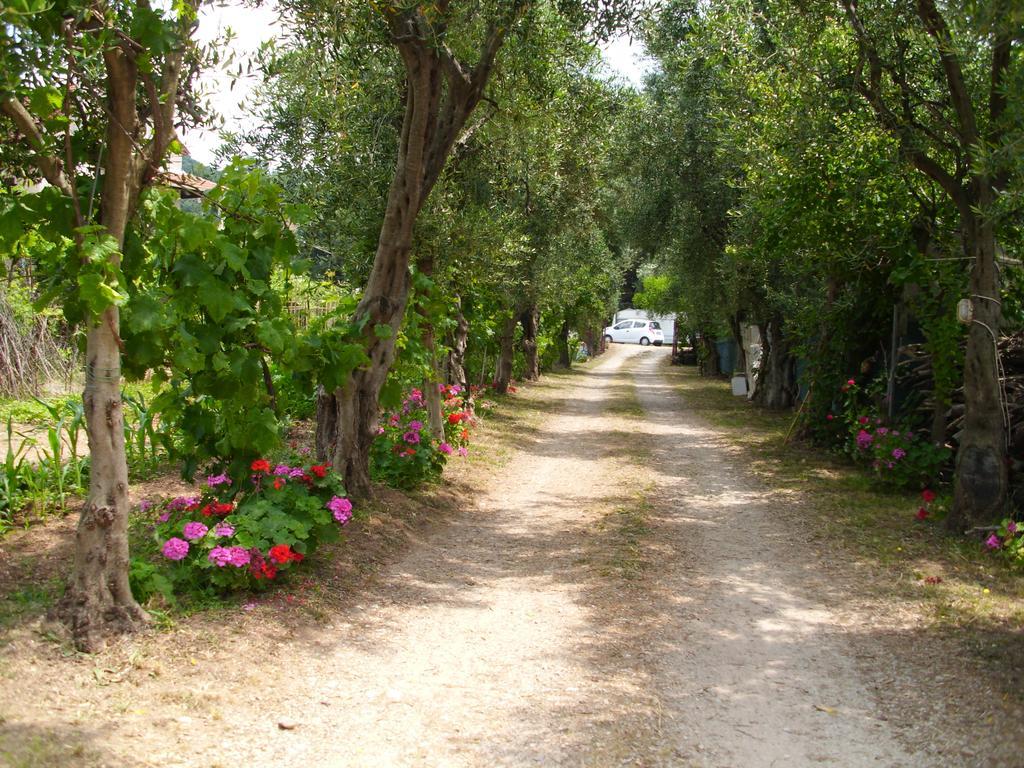 Olga'S Garden Apartments Almiros Beach Exterior foto